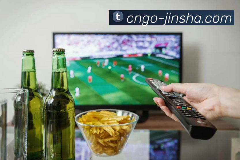 金沙娱乐APP 封面图